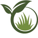 Backyard Remodeling Pros